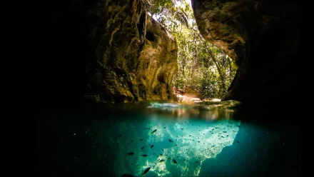  Cave Of The Crystal Sepulcher