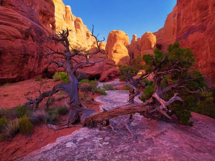nature cliff HD Desktop Wallpaper | Background Image