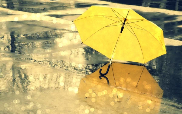 A vibrant yellow umbrella stands out against a reflective, wet surface, surrounded by soft bokeh lights, creating a captivating HD desktop wallpaper and background.