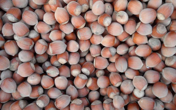 A close-up view of hazelnuts scattered together, showcasing their textured shells. This high-definition image serves as a vibrant PC desktop wallpaper and background.