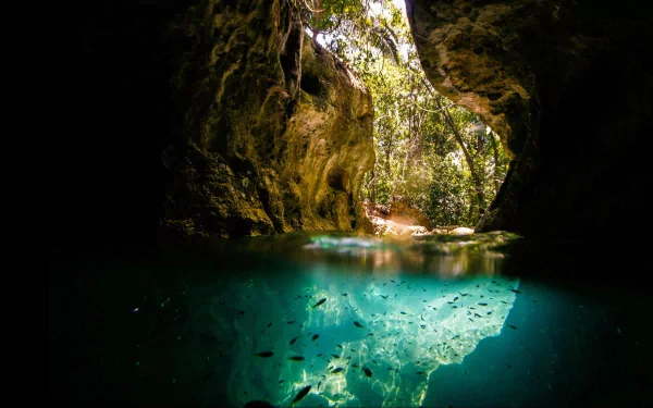 HD desktop wallpaper featuring a serene cave opening to a lush forest, with clear turquoise water and small fish swimming inside the cave, showcasing natural beauty.