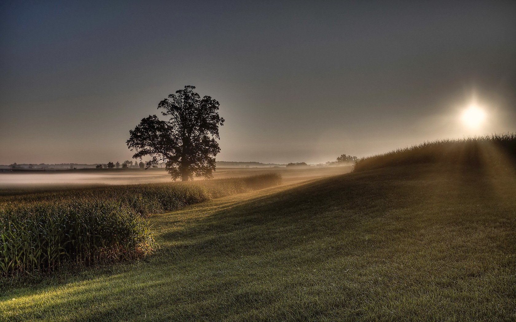 Download Nature Sunrise Wallpaper