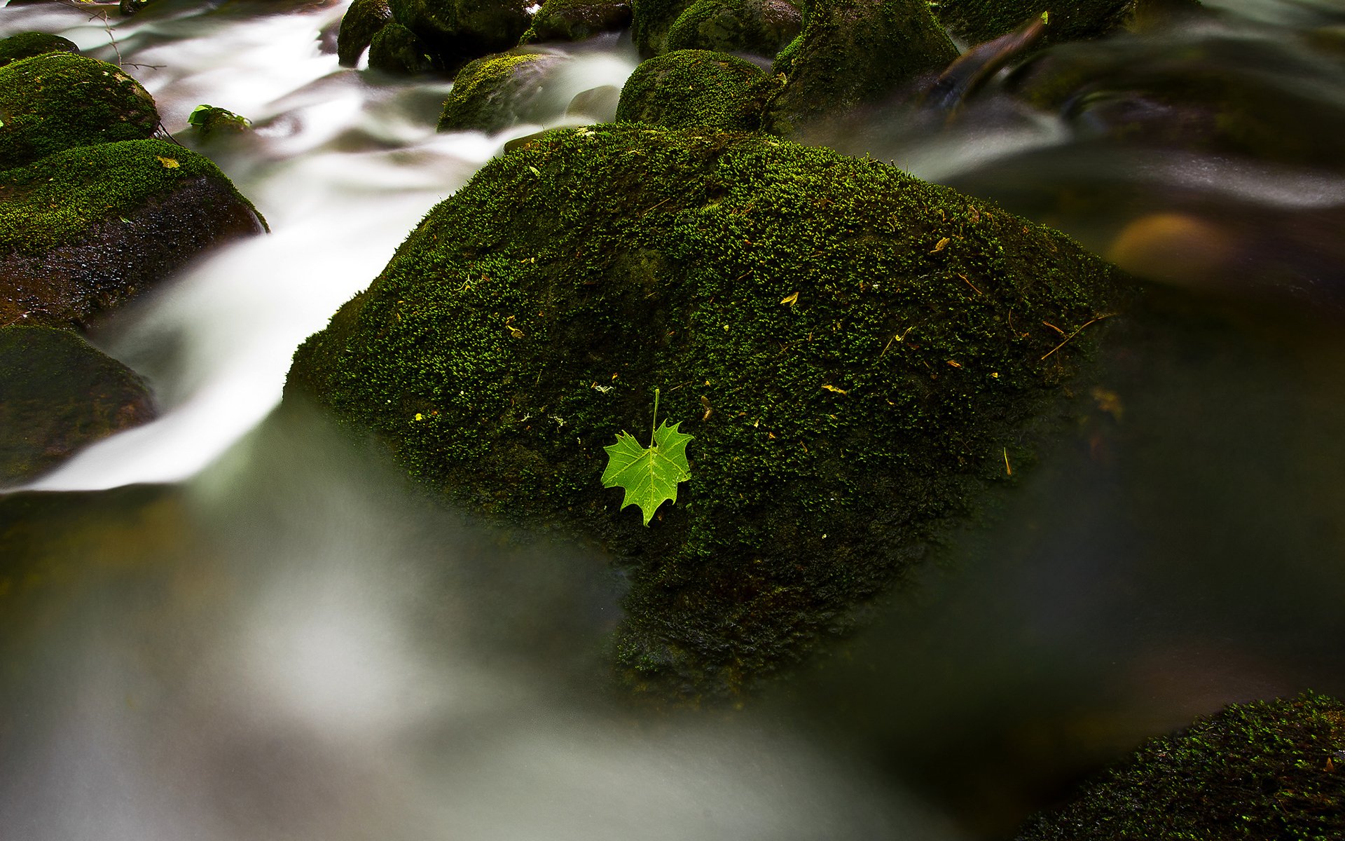 HD PC desktop wallpaper: nature stream scene with moss-covered rocks and a single bright green leaf, silky water flowing around the stones.