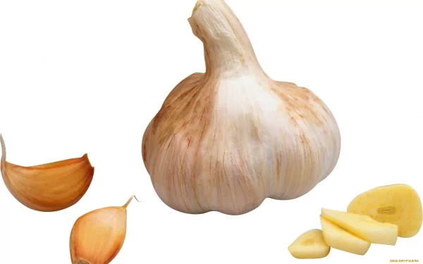 food garlic HD Desktop Wallpaper | Background Image