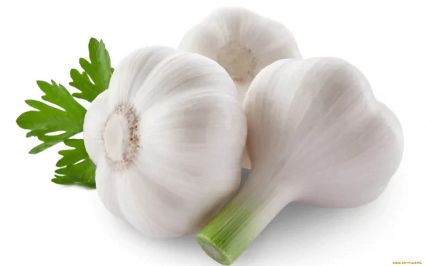 food garlic HD Desktop Wallpaper | Background Image
