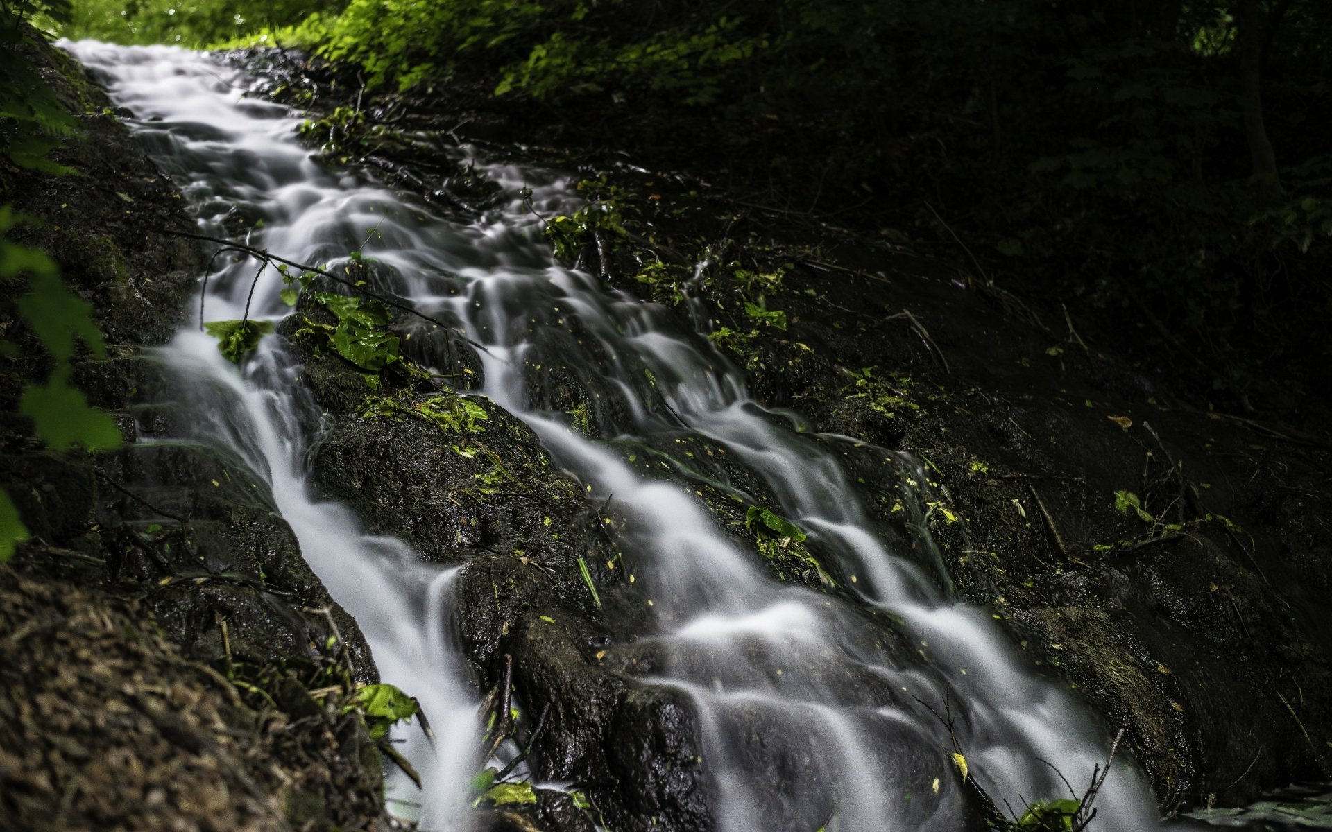 HD desktop wallpaper of a tranquil nature scene featuring a gently flowing stream cascading over dark rocks surrounded by lush green foliage.