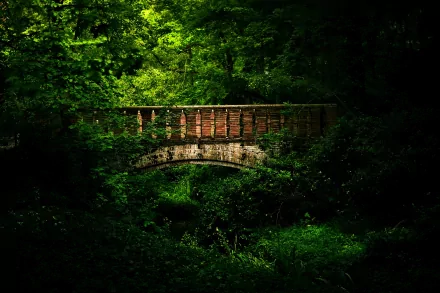 A serene bridge nestled among lush green foliage, captured in a vibrant HD image that serves as an enchanting desktop wallpaper and background.