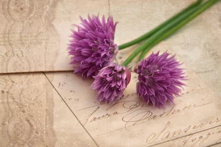 A vibrant bouquet of purple flowers rests on a textured vintage background, creating a beautiful nature-inspired HD wallpaper for desktops.