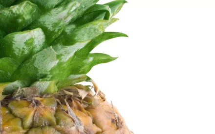 Close-up of a fresh pineapple crown with vibrant green leaves on a clean white background, presented as an HD PC desktop wallpaper.