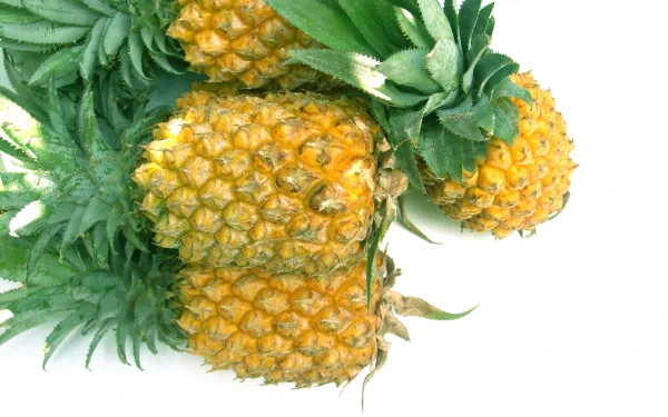 food pineapple HD Desktop Wallpaper | Background Image