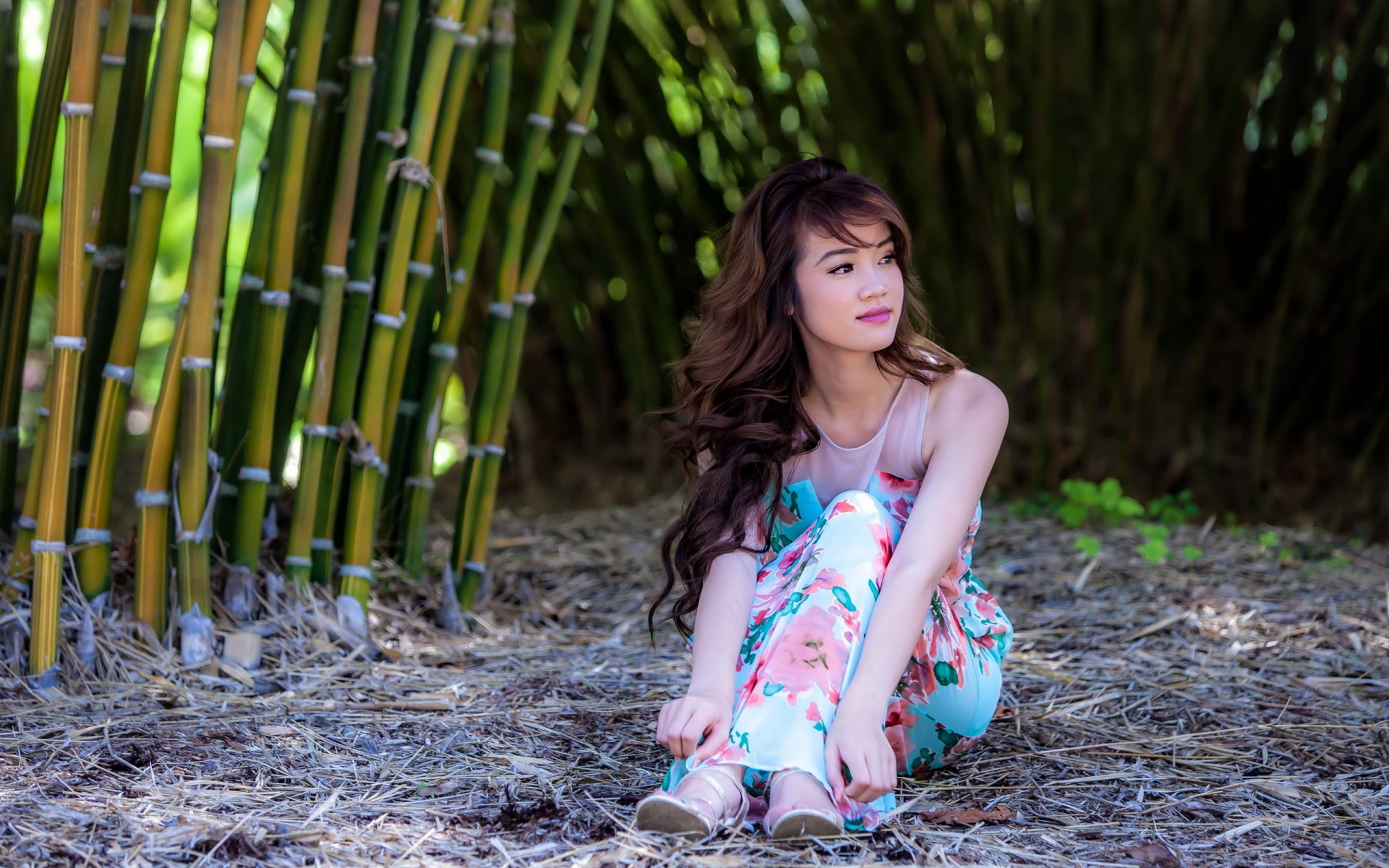 A serene Asian woman sits gracefully among bamboo, dressed in a floral outfit, surrounded by nature, creating an inviting HD desktop wallpaper.