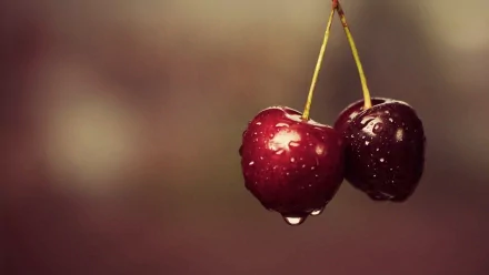 A close-up of two cherries glistening with raindrops against a softly blurred background, making for an appealing HD desktop wallpaper.