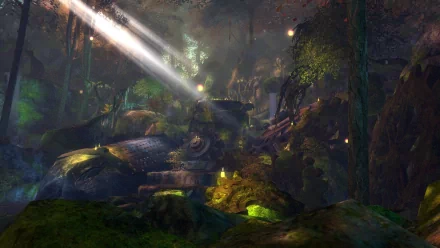 A captivating HD desktop wallpaper from Guild Wars 2, featuring a mystical forest scene illuminated by beams of light, showcasing lush vegetation and intriguing rock formations.