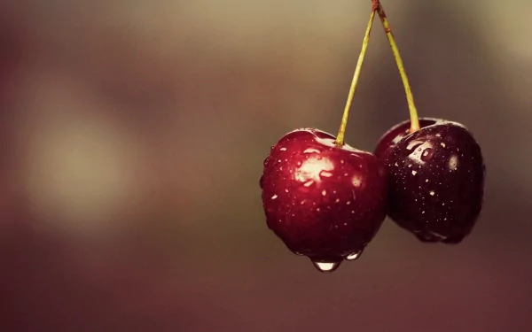 A close-up of two cherries glistening with raindrops against a softly blurred background, making for an appealing HD desktop wallpaper.