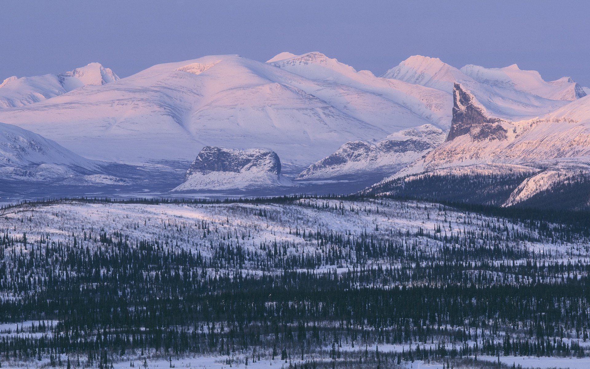 Snow-covered mountains rise majestically over the vast forested landscape of Sarek National Park in Sweden, captured in this HD desktop wallpaper.
