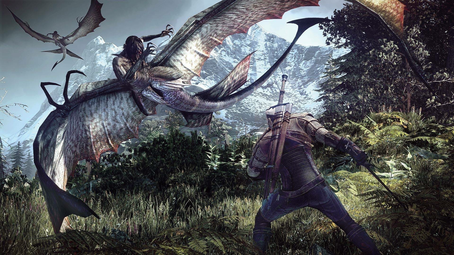 the witcher 3 image