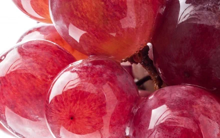 food grapes HD Desktop Wallpaper | Background Image