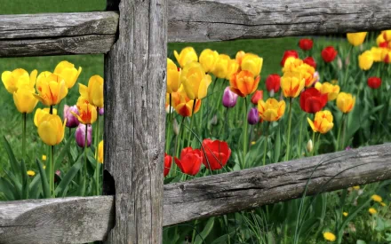 man made fence HD Desktop Wallpaper | Background Image