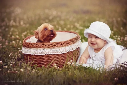 HD photography of a smiling baby in white clothing and hat lying on grass next to a small brown dog inside a wicker basket, framed as a PC desktop wallpaper background.