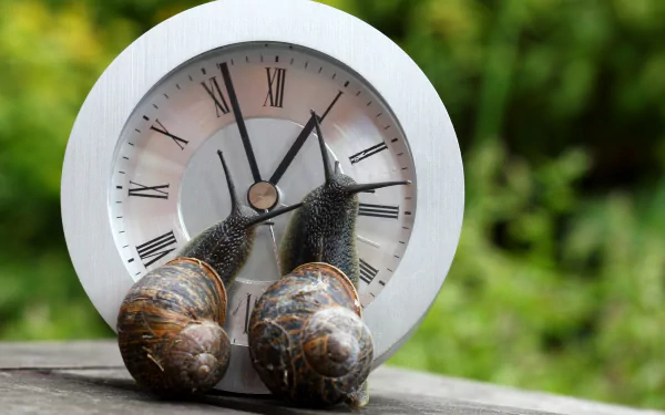 HD desktop wallpaper featuring two snails on a wooden surface with a clock showing Roman numerals in the background, set against a blurred green natural backdrop.