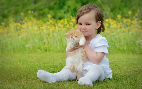 A smiling child in a white outfit sits in a grassy field, gently holding a fluffy orange kitten, surrounded by vibrant yellow flowers. This charming scene makes a delightful HD desktop wallpaper.