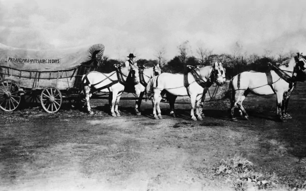 Conestoga Wagon 4k Wallpapers