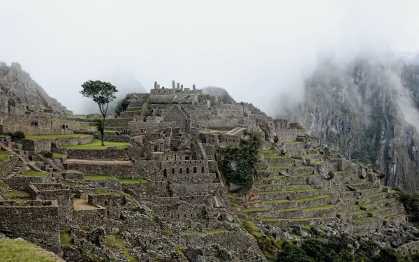man made Machu Picchu HD Desktop Wallpaper | Background Image