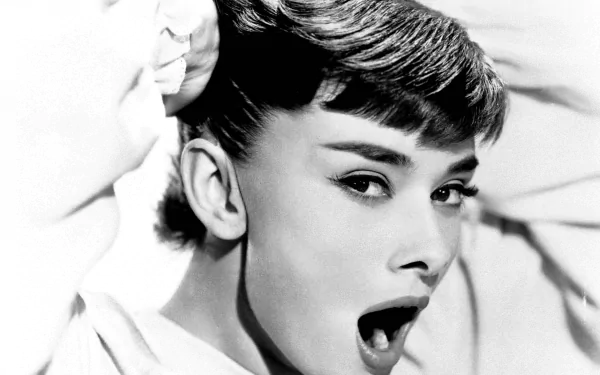 Black-and-white HD desktop wallpaper featuring a close-up of celebrity Audrey Hepburn with expressive eyes and a stylish short hairstyle.