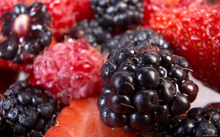 food berry HD Desktop Wallpaper | Background Image