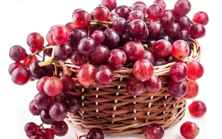 food grapes HD Desktop Wallpaper | Background Image