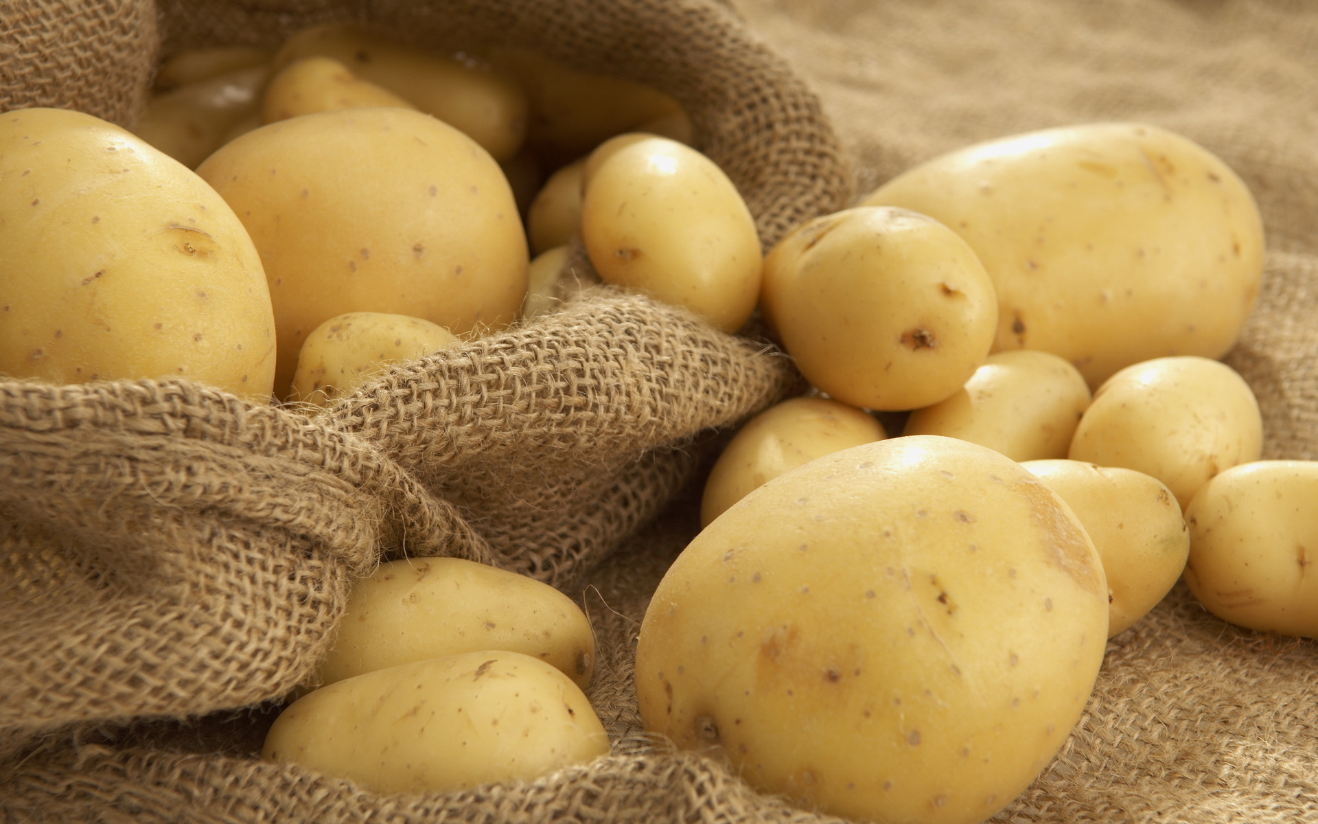 Food Potato HD Wallpaper | Background Image