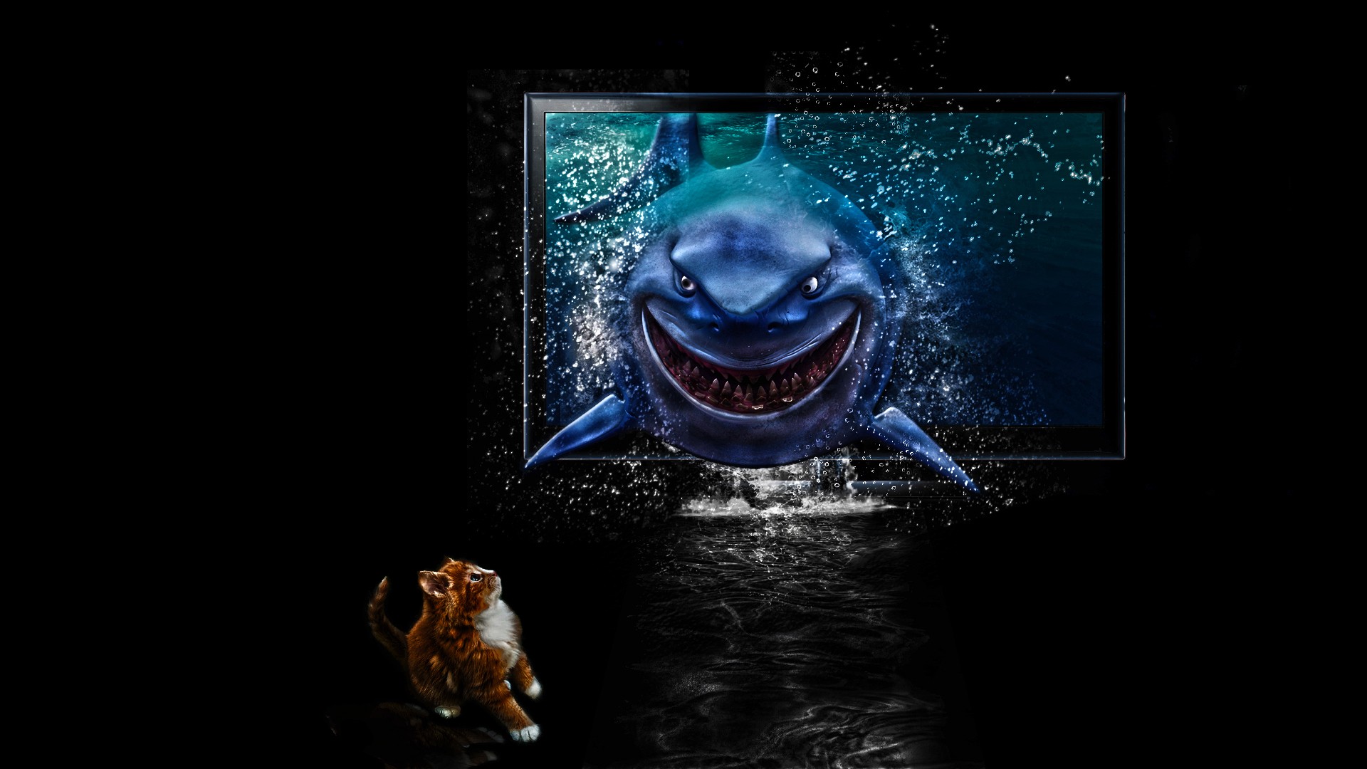 30+ Finding Nemo HD Wallpapers and Backgrounds