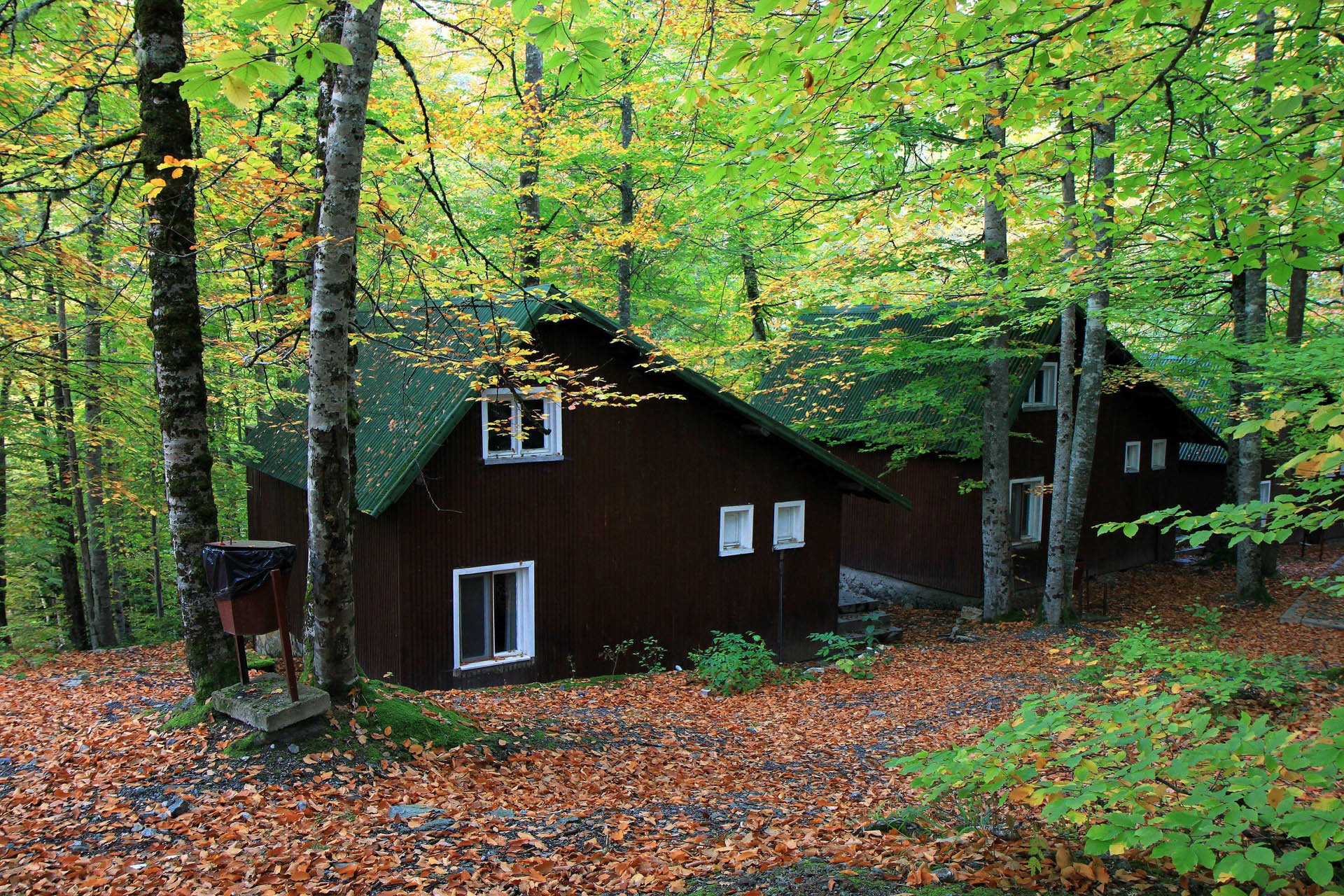 HD desktop wallpaper featuring a man-made cabin nestled in a lush, green forest with fallen autumn leaves covering the ground.