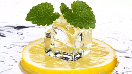 food lemon HD Desktop Wallpaper | Background Image