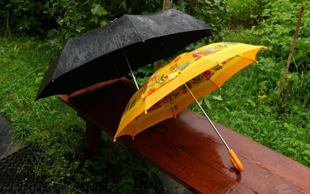 photography umbrella HD Desktop Wallpaper | Background Image