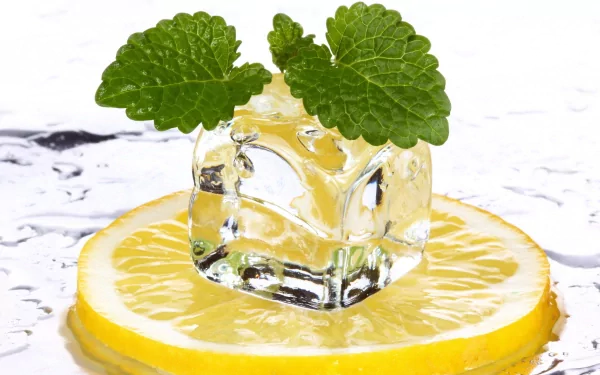 food lemon HD Desktop Wallpaper | Background Image