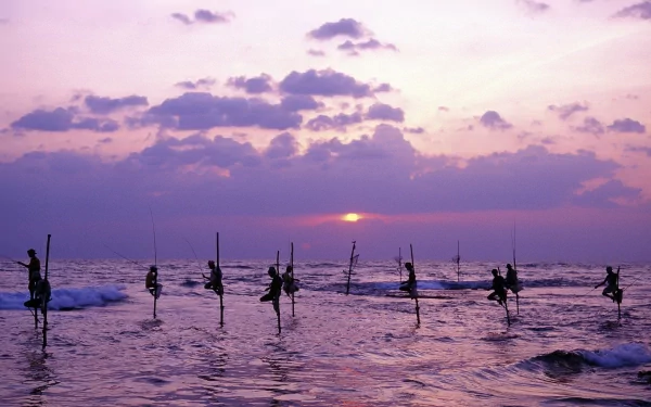 Silhouetted fishermen stand on poles in the ocean during sunset, with a vibrant purple sky and rolling waves, captured in stunning HD for a striking desktop wallpaper.