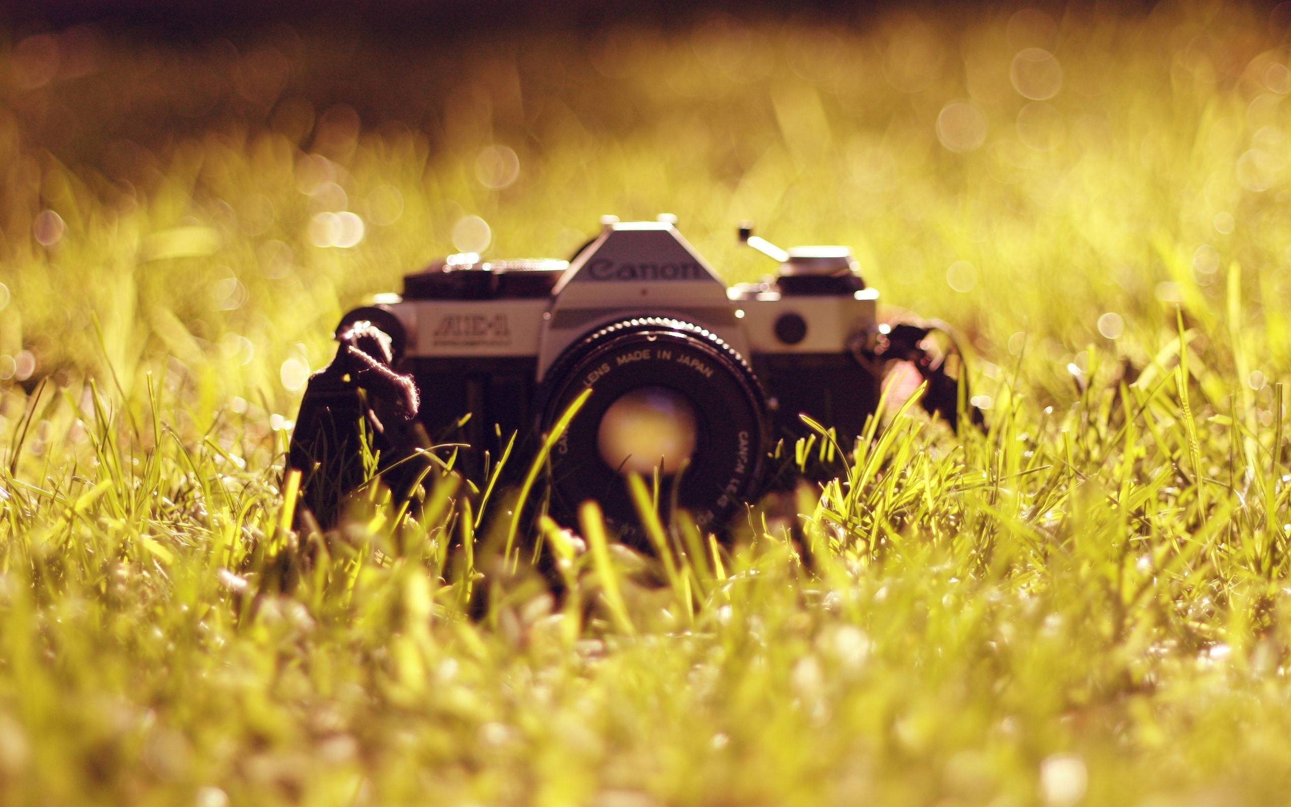 Free photo: Canon DSLR Camera - Camera, Canon, Dry leaves - Free Download -  Jooinn