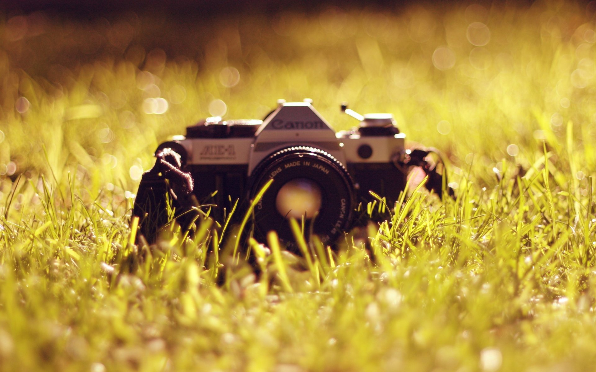 Camera Computer Wallpapers, Desktop Backgrounds | 2560x1600 | ID:421118