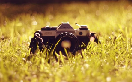 HD desktop wallpaper featuring a Canon man-made camera resting in sunlit grass, capturing a serene and nostalgic outdoor scene.