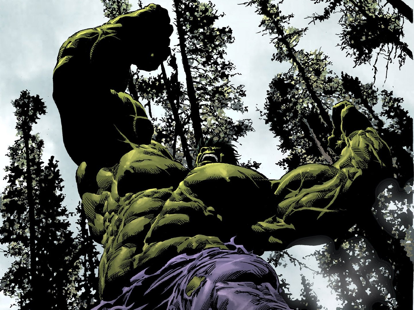 Download Hulk Comic Marvel Comics Wallpaper