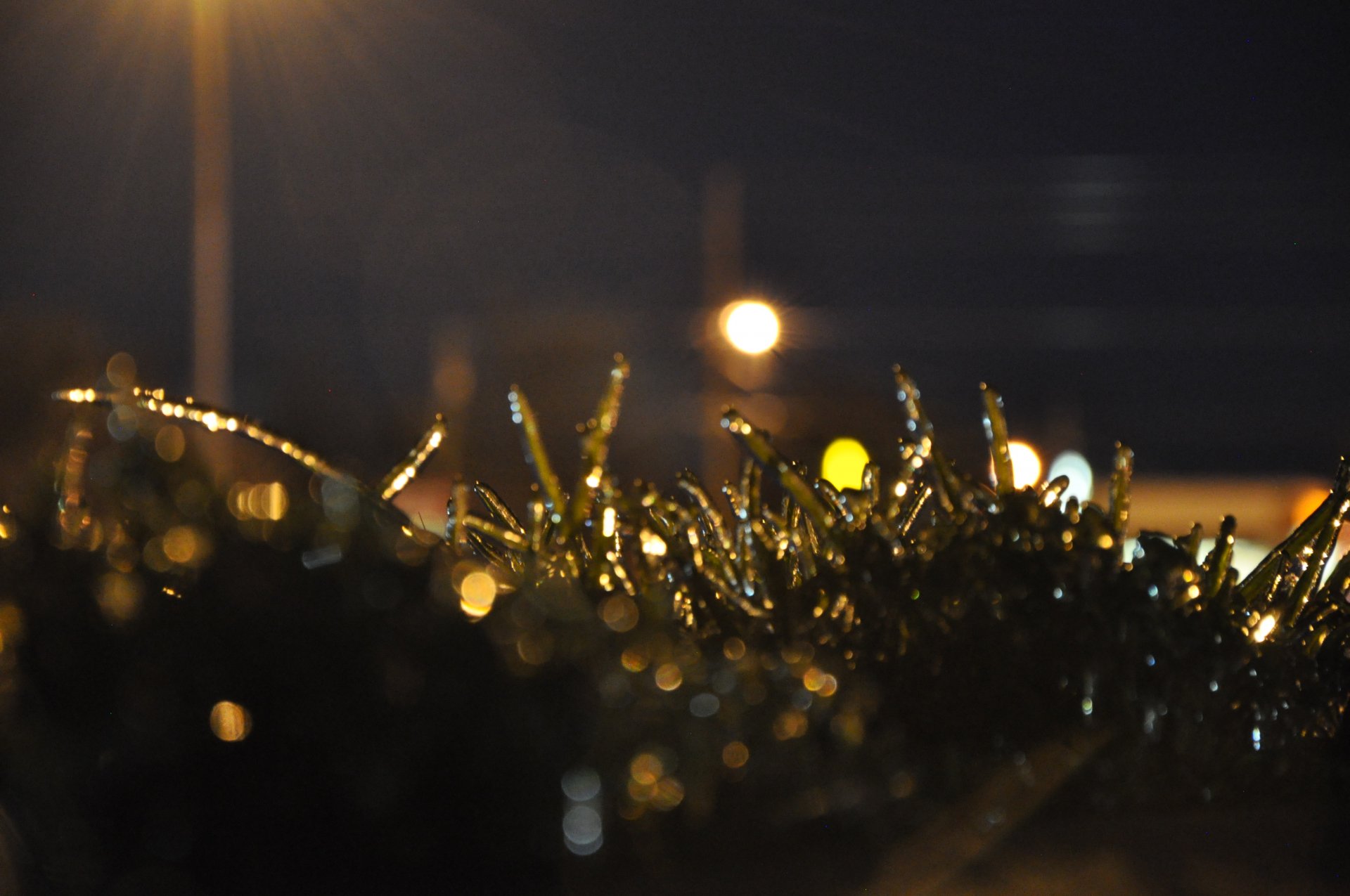 Frozen Field by caleb_anderson@live.com