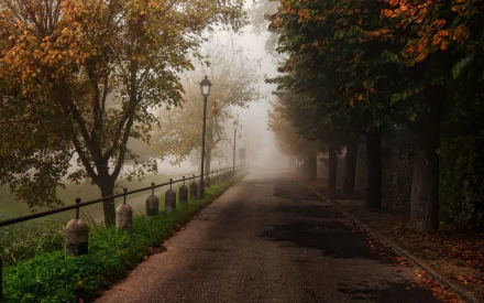 A serene park path shrouded in mist, lined with trees showcasing autumn foliage, creating a tranquil atmosphere in this HD desktop wallpaper.