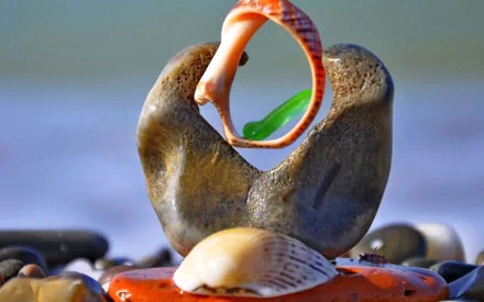HD nature desktop wallpaper showing a close-up of a shell balanced on a stone with a blurred blue and brown background.