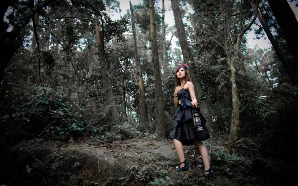 HD desktop wallpaper featuring a woman, Mikako Zhang Kaijie, standing in a dark, dense forest, holding a lantern and wearing a dark dress.