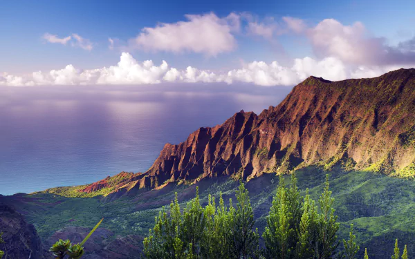 HD desktop wallpaper showing Hawaii’s rugged coastline with lush greenery, dramatic cliffs, vibrant ocean, and scattered clouds under a bright sky.