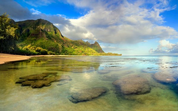Earth Coastline Beach Ocean Hawaii Kauai Coast Water Tunnels Beach Seashore Rock HD Wallpaper | Background Image