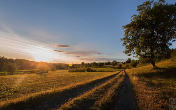 HD PC desktop wallpaper: dawn over a meadow in Lombardia, Italy, with a winding dirt path and lone tree beside a country road, serene natural landscape.