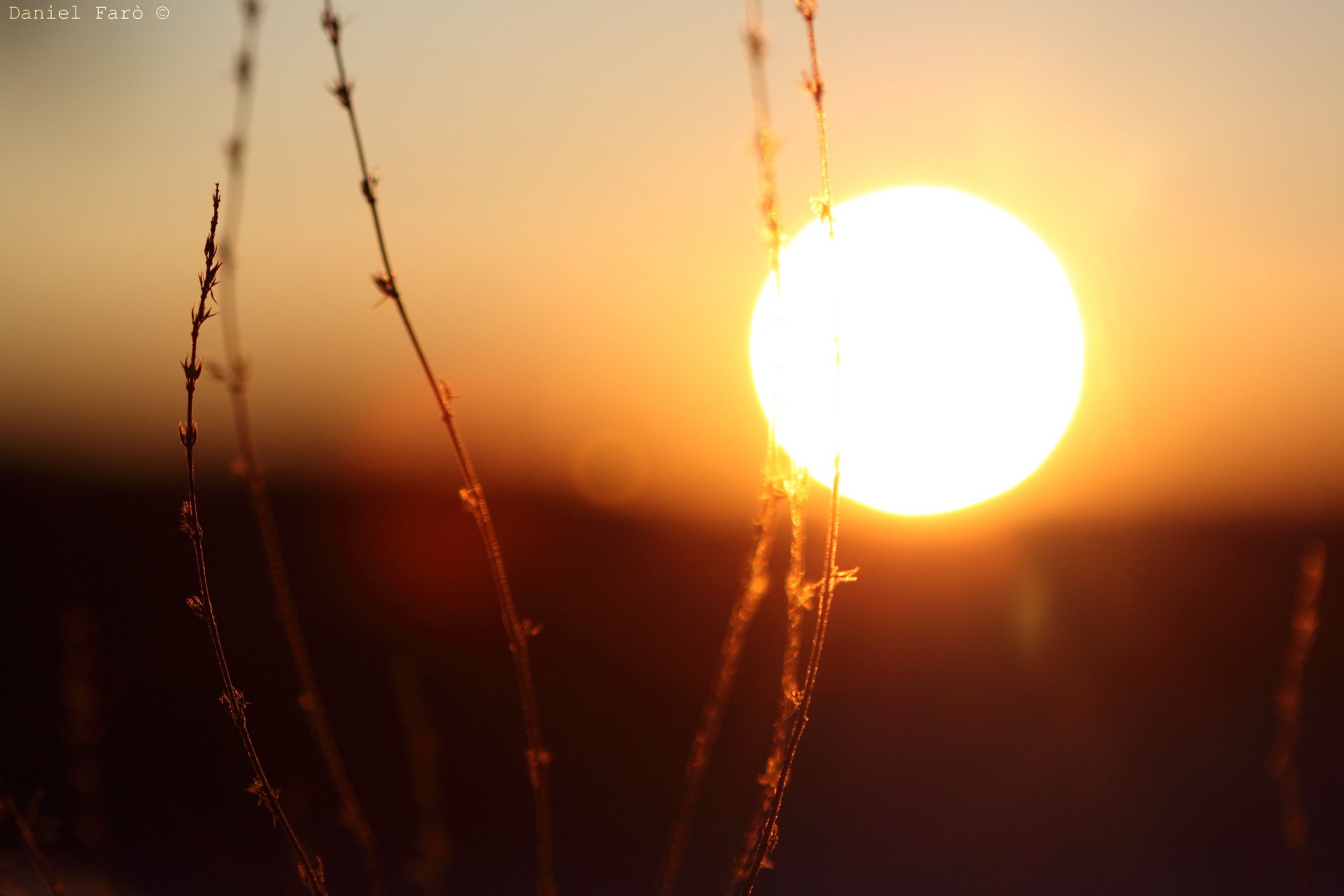 Download Nature Sunset 4k Ultra HD Wallpaper