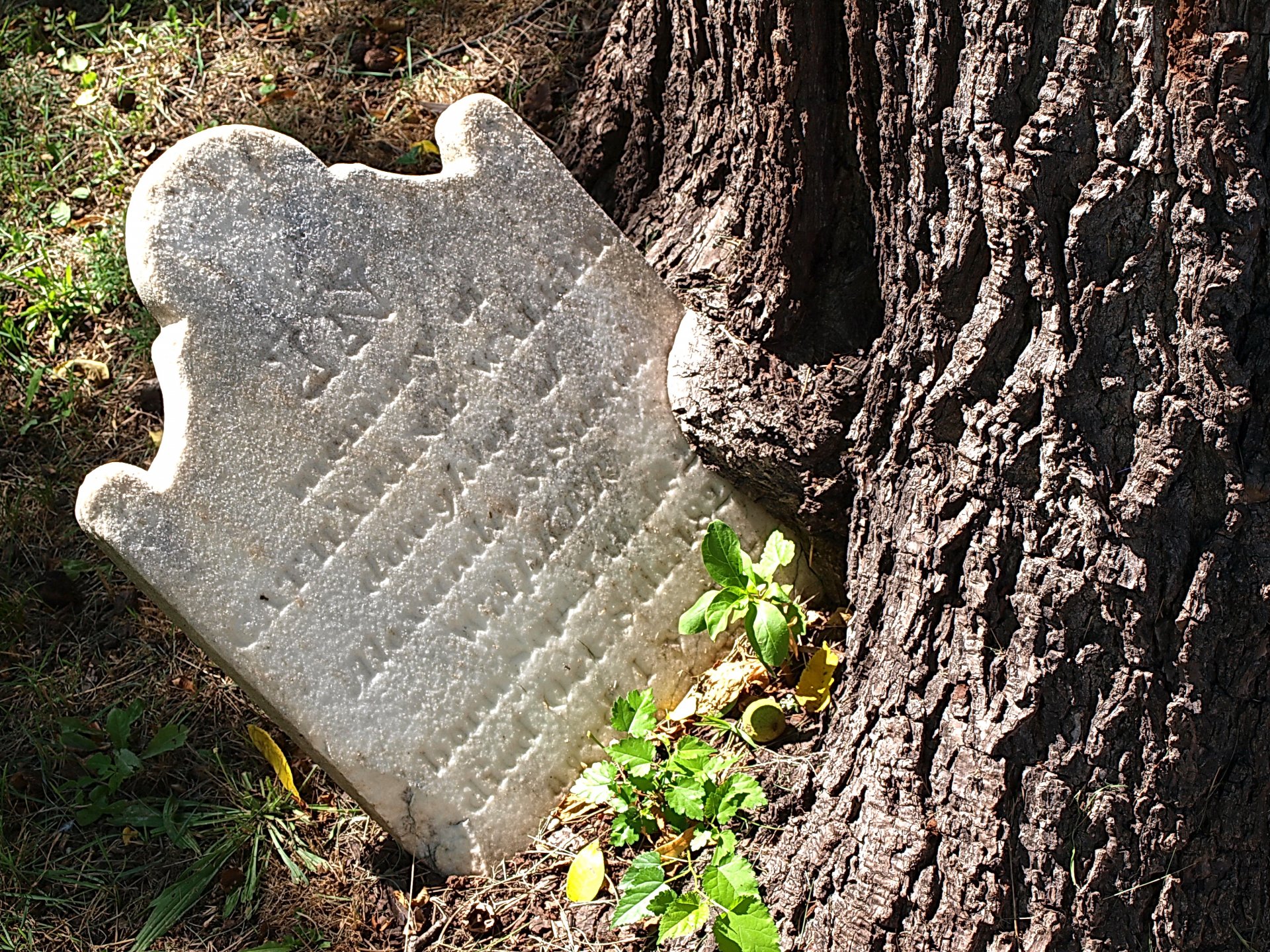 Download Man Made Tombstone HD Wallpaper